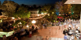 Food and Art Festival